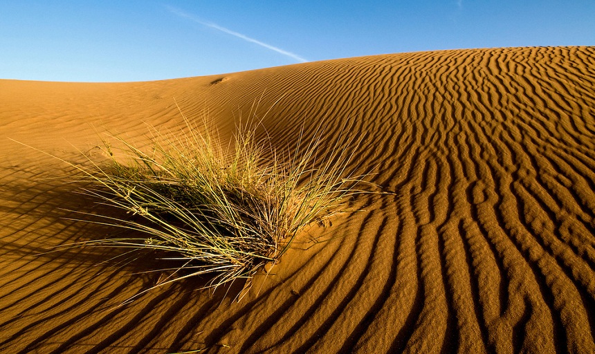 موت 44 مهاجر عطشا في صحراء النيجر