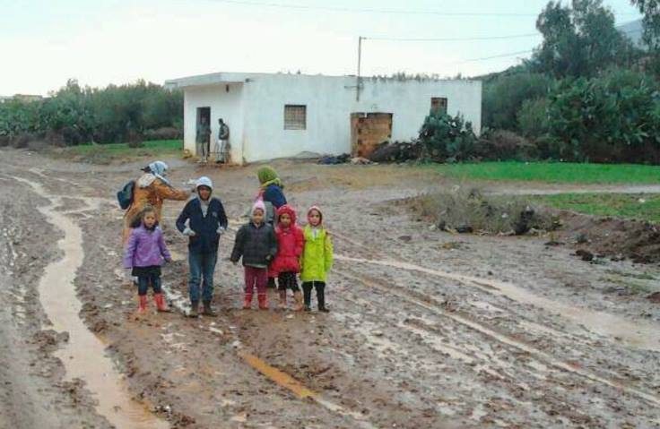اضغط على الصورة لرؤيتها بالحجم الطبيعي