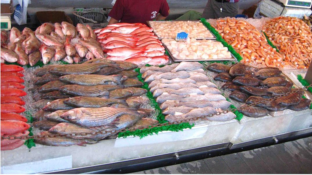 تقرير أسود عن المضاربات في أسعار السمك