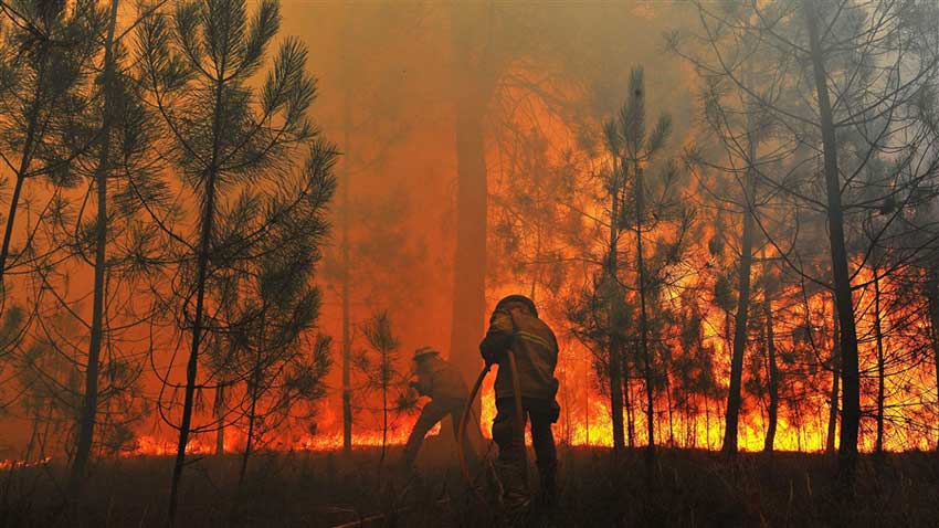 أستراليا.. حرائق الغابات تدمر 30 منزلا و100 ألف هكتار