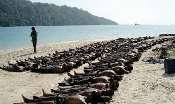 من لأرواح المسلمين وأعراض الروهينجيات في بورما؟!!