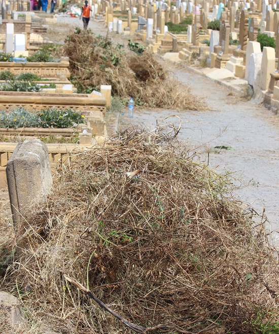 «مبادرة أيادي نظيفة» تدشن عملية تنظيف مقبرة «باب معلقة» إكراما للموتى