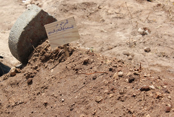 وفاة المفكر المغربي المهدي المنجرة اليوم الجمعة 