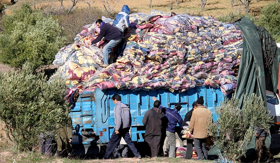 أكثر من 800 أسرة استفادت من حملة لننعم جميعا بالدفء بجماعة مغراوة إقليم تازة