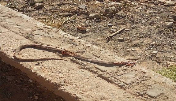 مدارس المرابطين جماعة فركلة السفلى بمدينة تنجداد