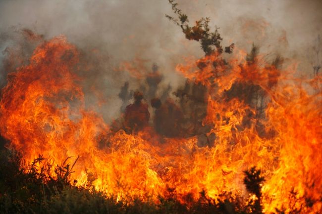 بريطانيا تطلب مساعدة الجيش في مكافحة "أسوأ" حريق غابات تشهده البلاد