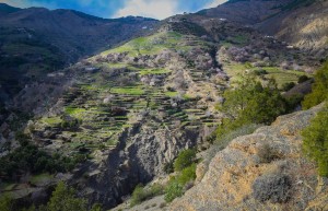 100 أسرة تستفيد من حملة «جمعية الفجر الثقافية والاجتماعية» «الدفء للجميع»