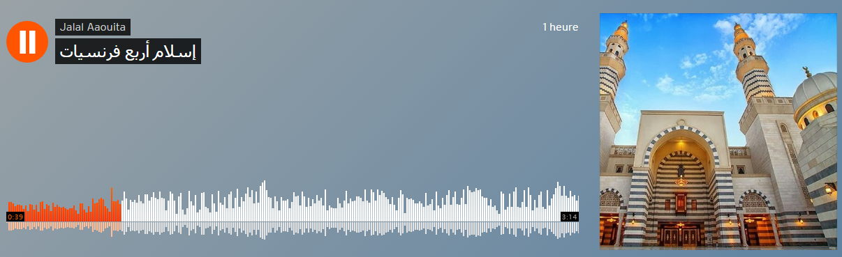 إسلام فرنسيات