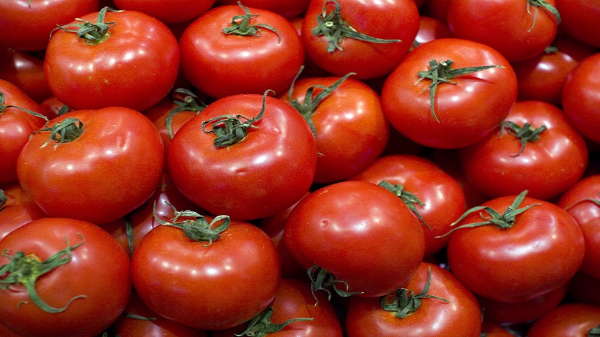 الطماطم المغربية تمثل 71 بالمائة من واردات الاتحاد الأوروبي خارج القارة