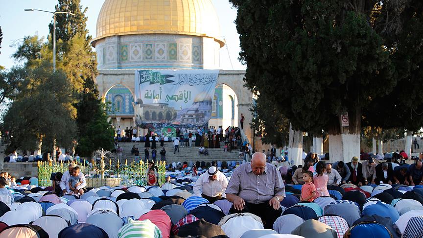 aa-arabic%2fthumbs_b_c_0ece1d80c89ee5980c09fda411900a0f