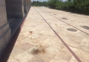 slide_521434_7355338_compressed