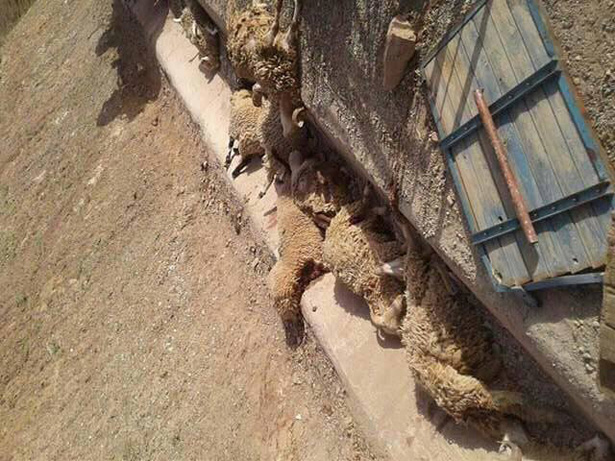 %d8%b4%d8%a7%d8%ad%d9%86%d8%a9-%d8%a3%d9%83%d8%a8%d8%a7%d8%b42