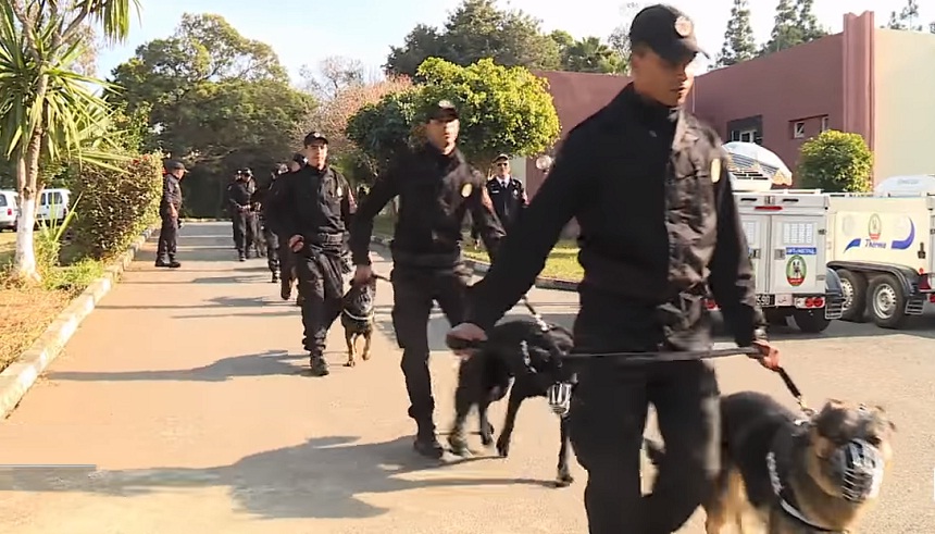 الشرطة السينوتقنية: تناغم تام بين عناصر الشرطة المدربين والكلاب البوليسية المدربة