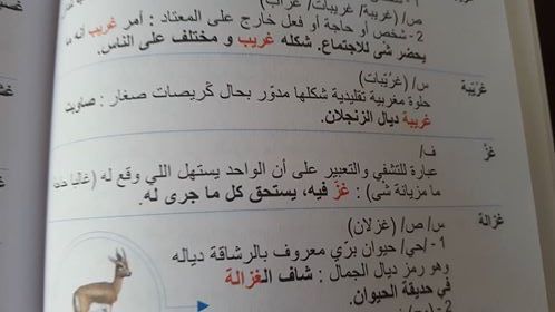 مقرر "البغرير".. ينهل من قاموس عيوش للدارجة