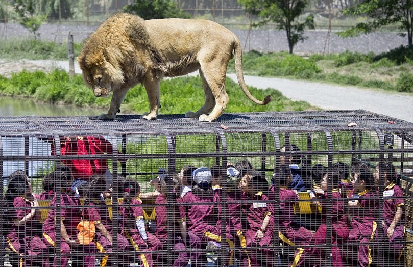 أقفاص للبشر في حديقة حيوانات بالهند