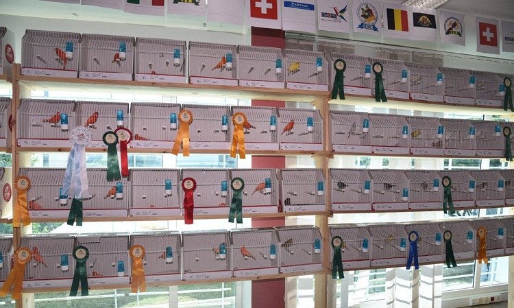 تتويج أحسن مربي الطيور في المغرب