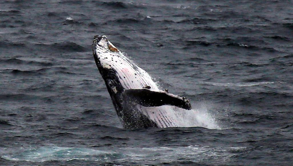 تسع ظواهر طبيعية ما يزال العلم عاجزا عن تفسيرها