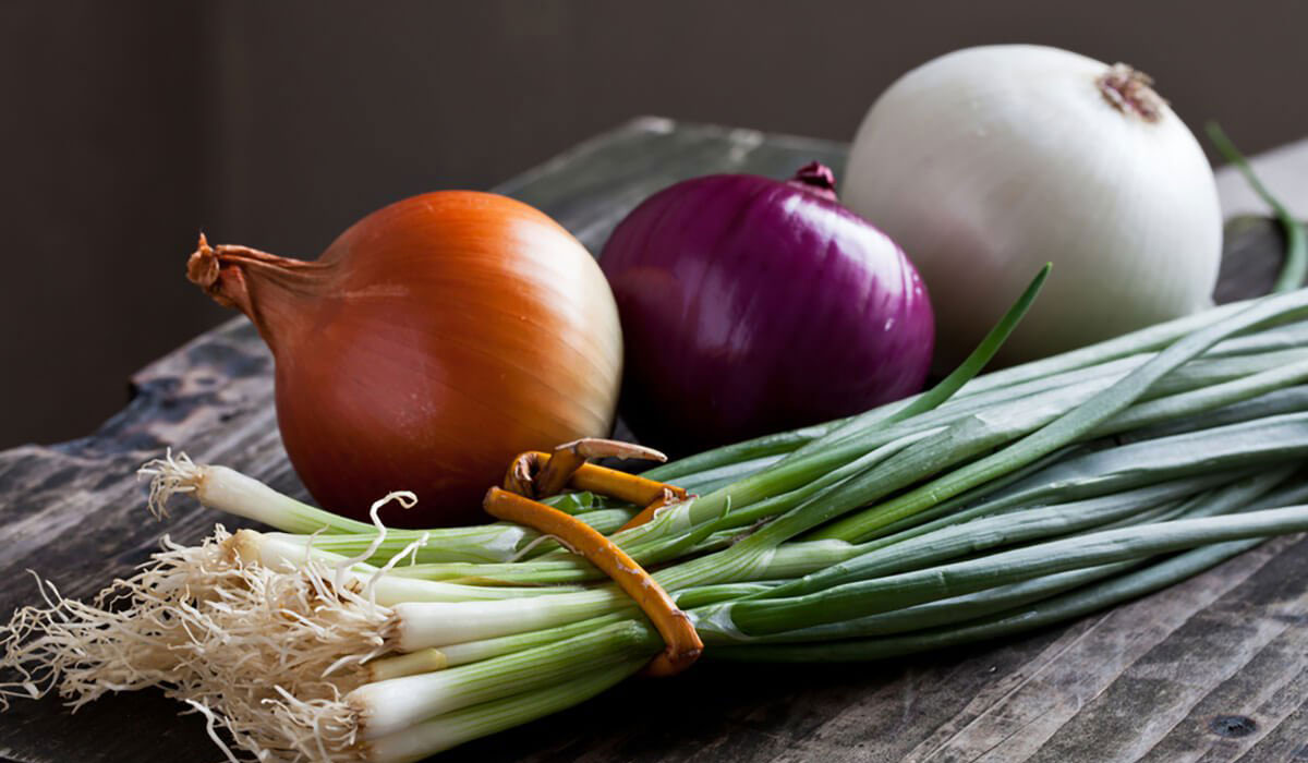 دراسة: تناول الثوم والبصل يوميا يحمي النساء من سرطان الثدي