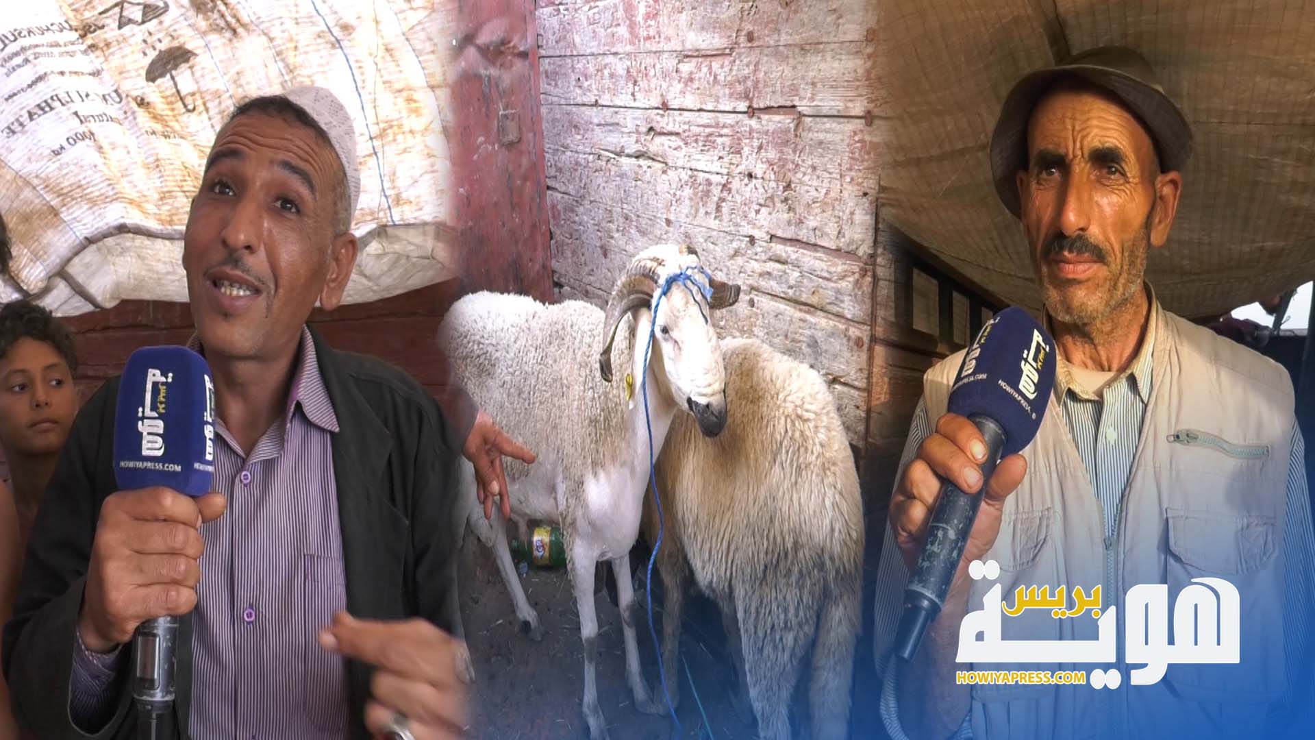 فيديو. سوق الخميس بسلا.. تضارب في أثمنة الأضحية قبل يوم العيد