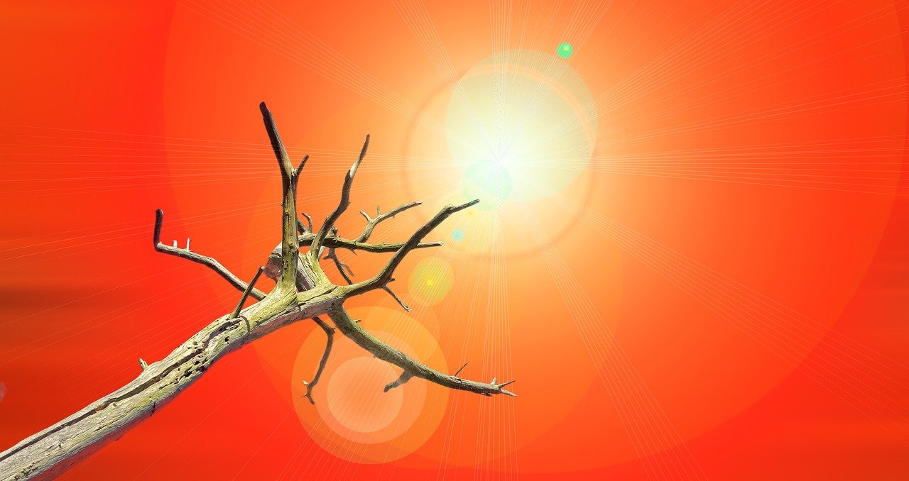 تعرف على طقس يوم غد الجمعة