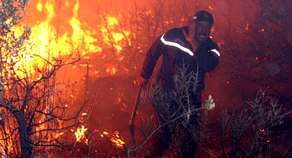 تركيا تعزي الجزائر في ضحايا حرائق الغابات
