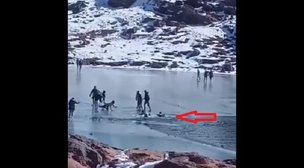 بالفيديو مشهد يحبس الأنفاس لسقوط عدد من رواد منتزه أوكايمدن في بحيرة شبه مجمدة هوية بريس