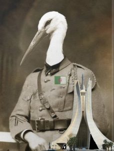 "المجاهد الشهيد بلارج" سخرية عارمة بدولة الجنرالات (فيديو)