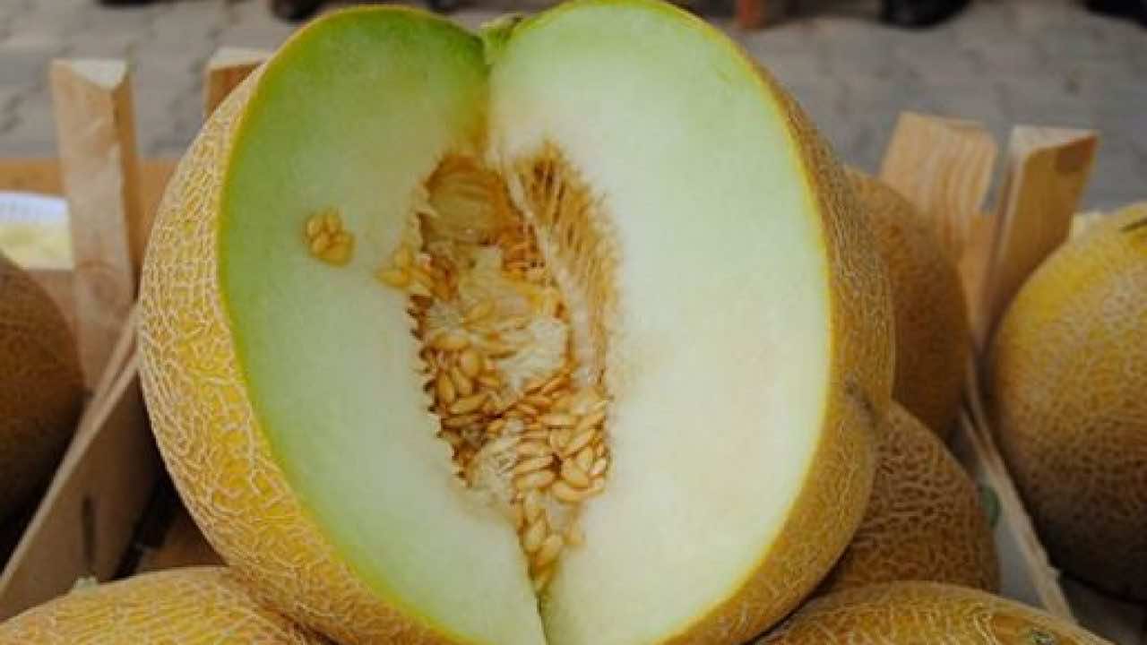 البطيخ الأصفر ينهي حياة طفل وسط صدمة أفراد أسرته