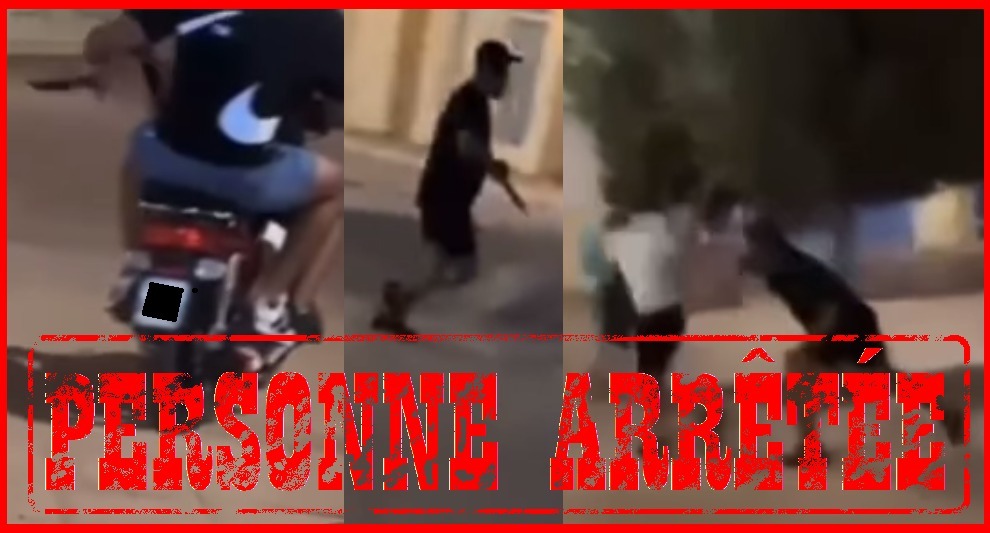 بعد الفيديو المرعب أمن السعيدية يوقع بعشريني خطير