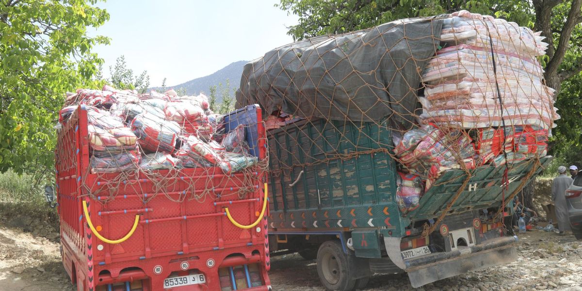 ما فقلوبهم رحمة ثلاثة أشخاص يسطون على مساعدات منكوبي الزلزال