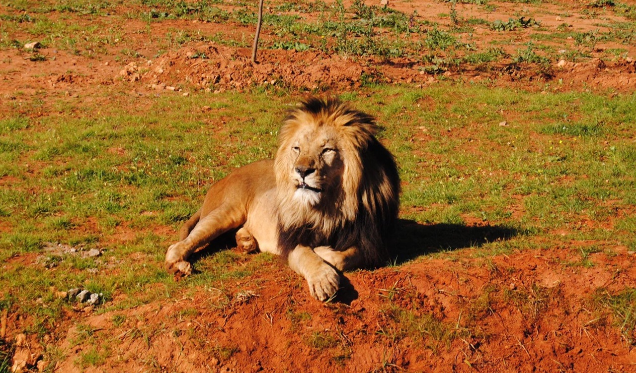 افتراس رجل يرعب سكان الأطلس ويعزز الشكوك