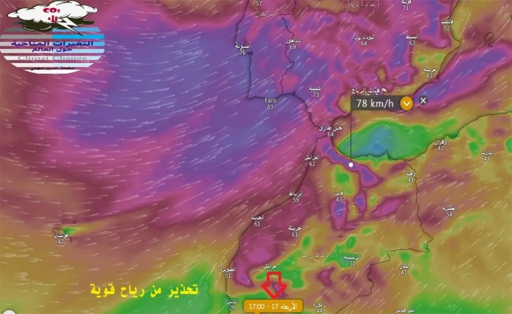 اللهم صيبا نافعا أمطار غزيرة ورياح قوية في طريقها لأجواء المملكة (صور)