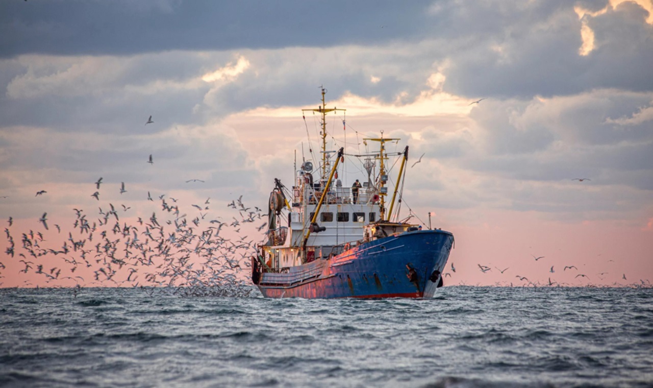 بحر، صيد بحري، سفينة، سمك، حوت