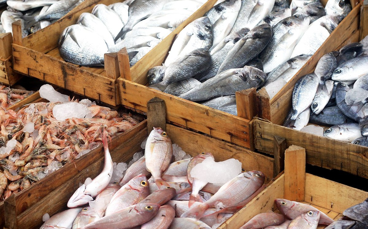 فتح السوق الأمريكية للأسماك المغربية