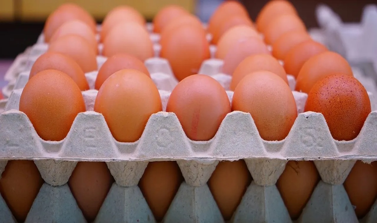 أسعار البيض تشتعل