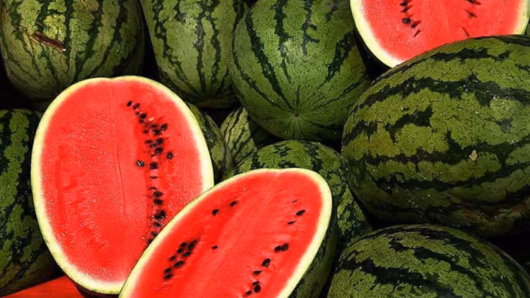 أونسا تكشف الحقيقة عن البطيخ الأحمر