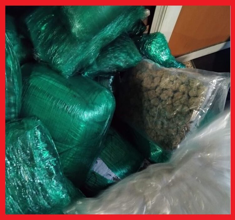 توقيف كنديين بمطار محمد الخامس يفجر مفاجأة