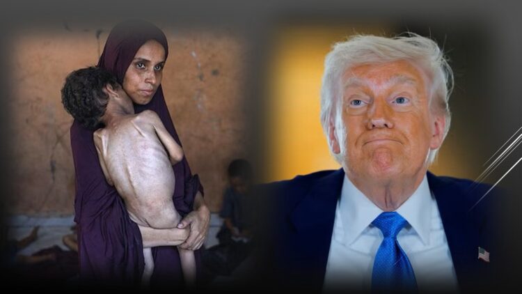 أمريكا، ترامب، غزة، فلسطين