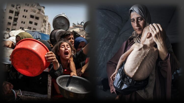 إبادة، غزة، فلسطين، أستراليا