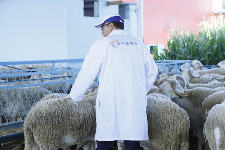 أونسا تحث المربين على اعتماد ممارسات صحية تشمل النظافة والتأطير البيطري والتغذية السليمة لضمان صحة القطيع وجودة الإنتاج.