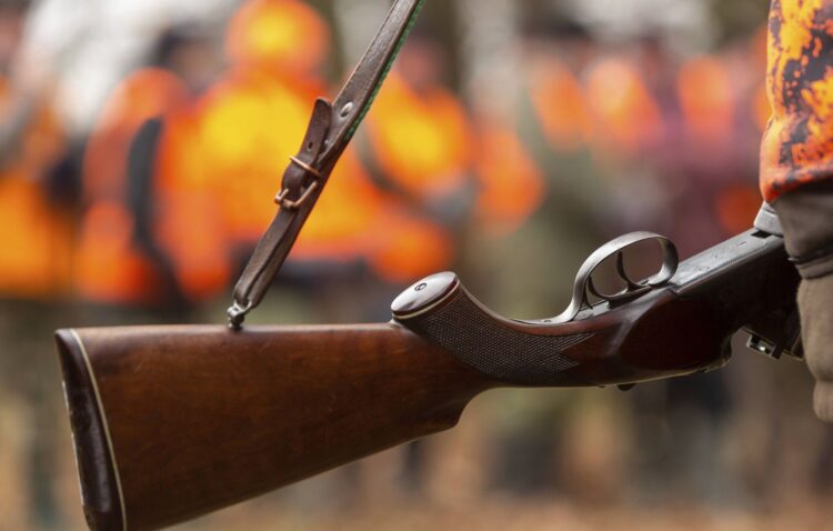 صيادون في غابة تاينزة بشفشاون يفتتحون موسم القنص 2025-2026 بالحجلة