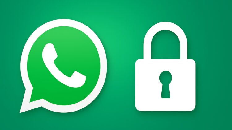 شعار تطبيق واتساب مع رمز القفل يشير إلى حماية الخصوصية