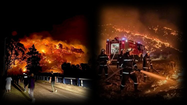 رجال الإطفاء يكافحون حرائق غابات قرب مدينة تيبازة الجزائرية