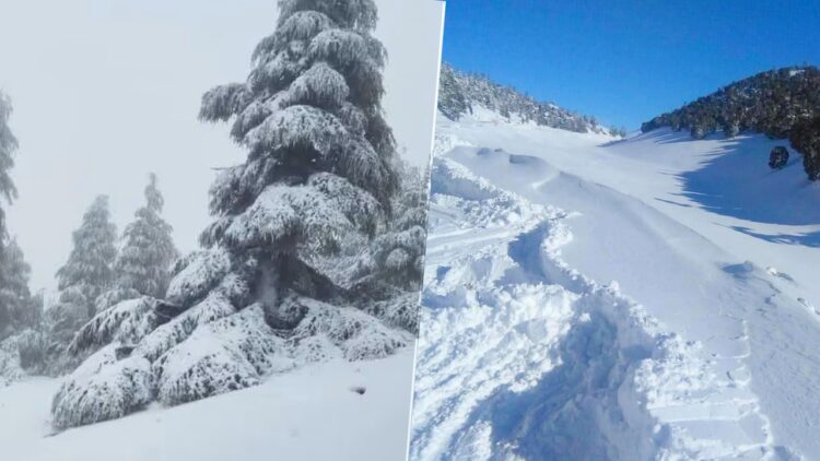 تساقطات ثلجية تغطي جبال الأطلس بالمغرب وتشكل مخزوناً مائياً استراتيجياً