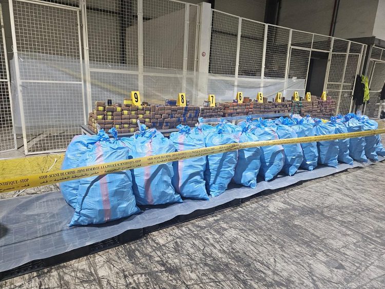 إحباط تهريب 8 أطنان من مخدر الشيرا بميناء طنجة