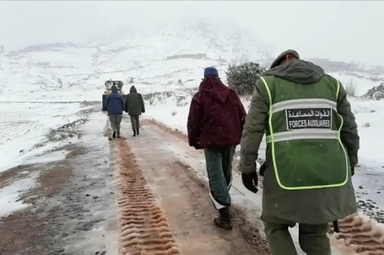 عملية واسعة لمواجهة البرد القارس بجهة الشرق