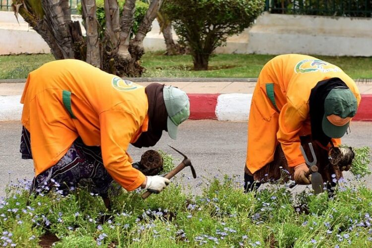 جماعة فاس تُفعّل قرار إنهاء مهام الأعوان العرضيين ضمن إصلاح إداري