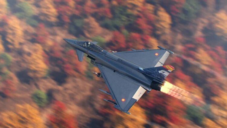 لحظة اصطدام طائر نورس بقمرة قيادة مقاتلة يوروفايتر خلال عرض جوي في إسبانيا