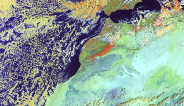 صور أقمار اصطناعية توضح الفرق بين الغطاء النباتي والثلوج بالمغرب بين يناير 2025 ويناير 2026
