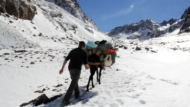 تساقطات ثلجية كثيفة بجبل توبقال في إقليم الحوز